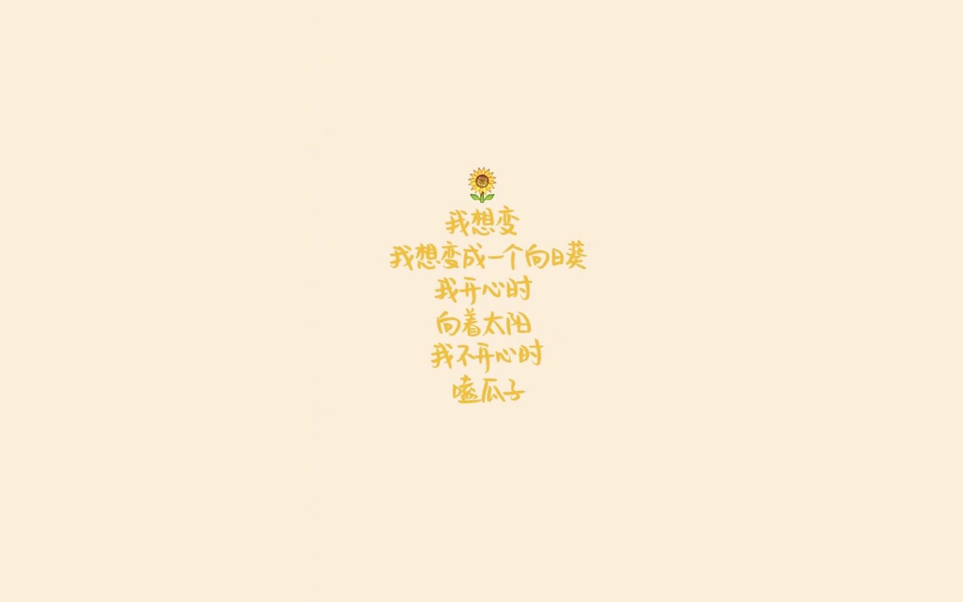 20w太阳能路灯多少钱(太阳能路灯100w费用)